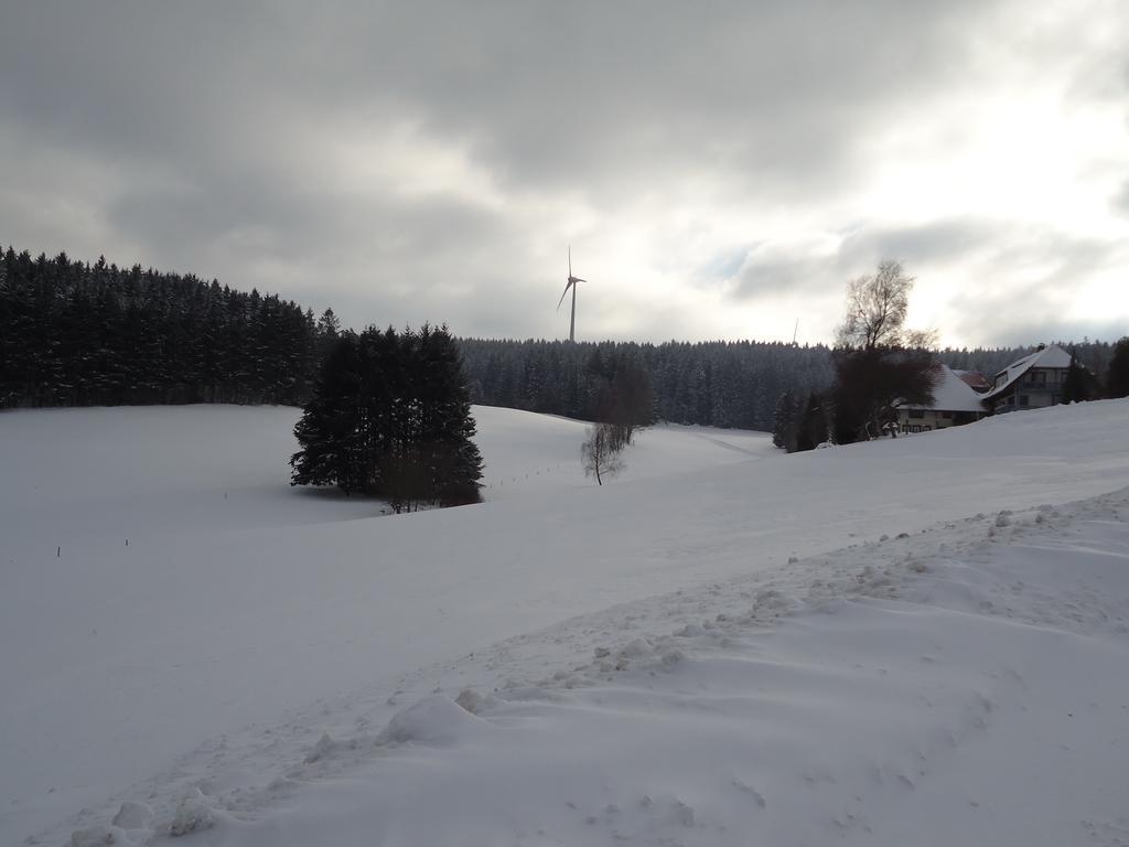 Berghotel Schiller Schonach im Schwarzwald Extérieur photo